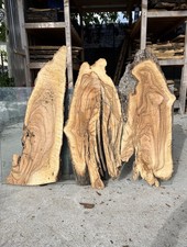 Tavole legno ulivo 3 - legno, di