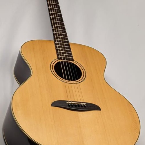 Chitarra acustica baritono