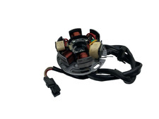 STATORE ALTERNATORE MAGNETE