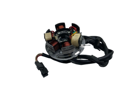 Statore alternatore magnete - statore,