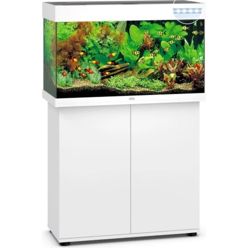 Acquario juwel rio - juwel, 81
