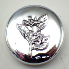 Portapillole piccolo argento