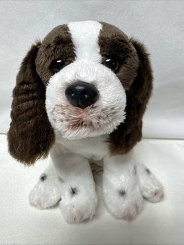 Nat jules springer - jules, spaniel