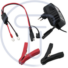 Caricabatterie batterie piombo