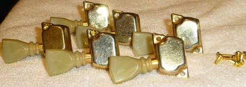 Set sintonizzatore tulipano