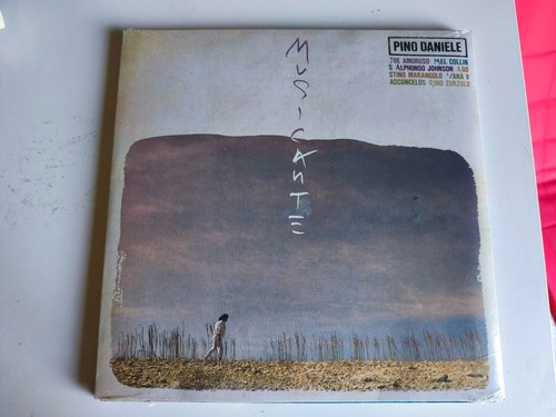 Pino daniele musicante - pino,