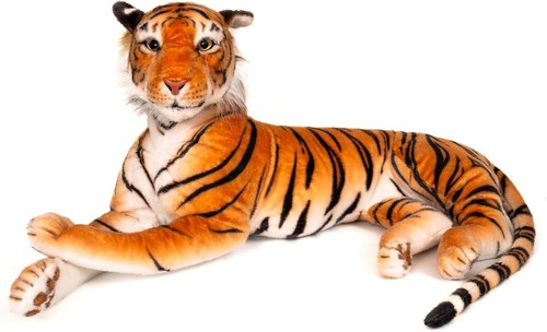 Nuovo curvaso tigre - nuovo,