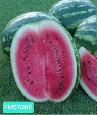 50 SEMI DI ANGURIA CRIMSON