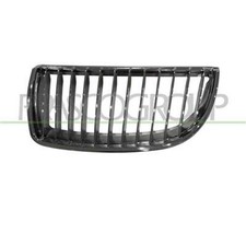 Griglia Radiatore Sinistra Bmw