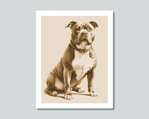 American bully foto cane - american,