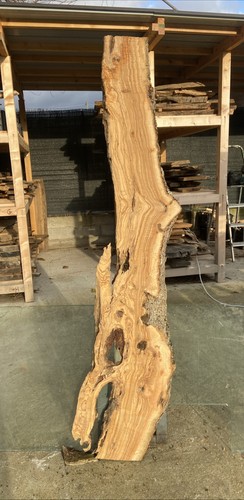 Tavola legno ulivo - in,