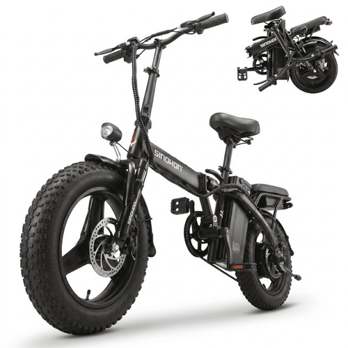 Bicicletta elettrica uomo