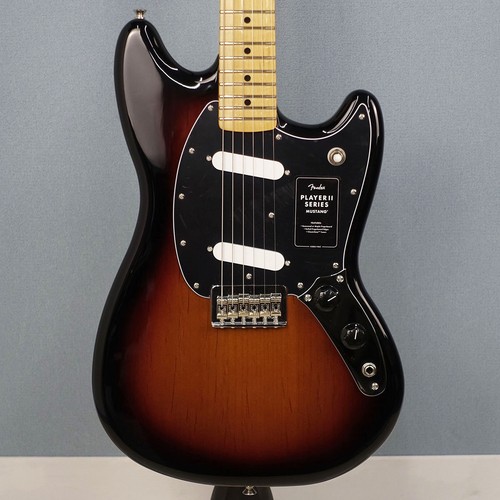 Lettore parafango mustang 3 - lettore,