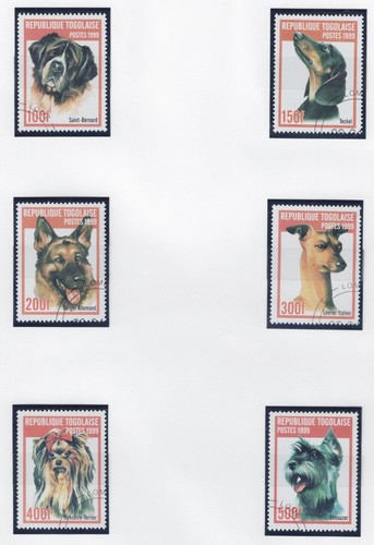 Togo 1999 fauna animale cani - animale,