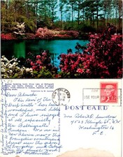 Beautiful Postcard of Azaleas