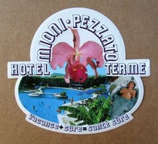 ADESIVO/STICKER/AUFKLEBER "HOTEL TERME MIONI PEZZATO" - Abano Terme - Anni '80 