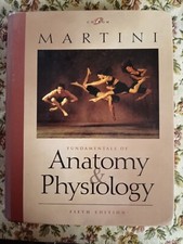 Martini Fundamentals Of