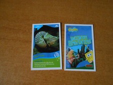 FIGURINA CARD SPONGEBOB CRAI - SERIE INCONTRI SPAVENTOSI - N. 36 - CS.35