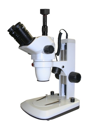 Microscopio stereo zoom