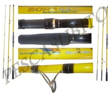 2 canne surfcasting bora 4,20m