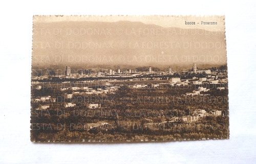 Vecchia foto cartolina - cartolina, vintage
