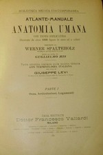 Atlante-Manuale Di Anatomia Umana - Werner Spalteholz - Ed. Francesco Vallard...