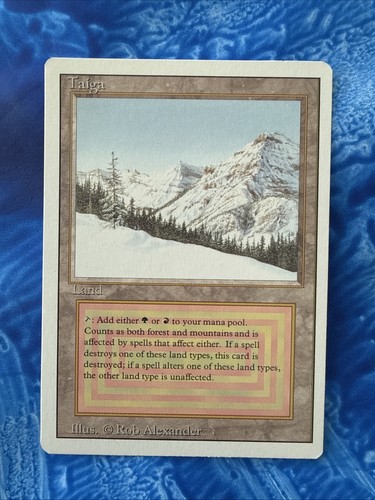 Mtg magic the gathering - magic, taiga