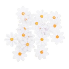  30 Pcs Toppe Per Giubbotti