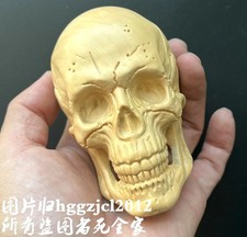 Statua teschio intagliato in