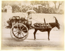 Alinari. Italie, Palermo