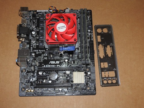 Pacchetto scheda madre asus - scheda,