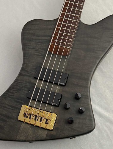 Spector forte5x basso - spector,