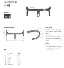 Ursus magnus h01 piega - magnus,