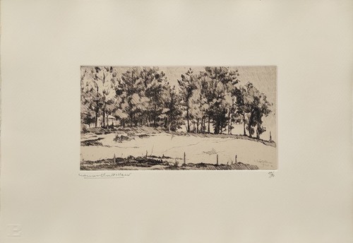 Castellani leonardo 1899 - leonardo, (1899