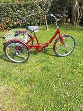 Triciclo per adulti pieghevole 24"- GIÀ MONTATO