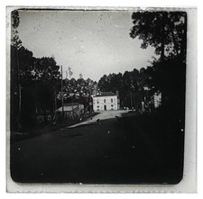 Fotografia Amatoriale