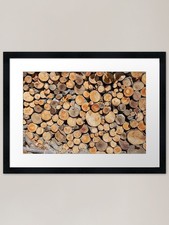 Tronchi albero segato di