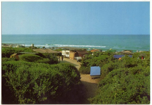 Capalbio grosseto camping - -,