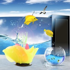  Pianta Acquario Piante Di