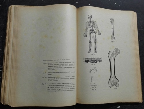 Libro compendio di anatomia - di,