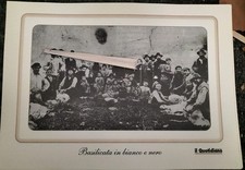 Filiano- Tosatura Delle