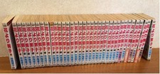 Hana Yori Dango 36 volume set