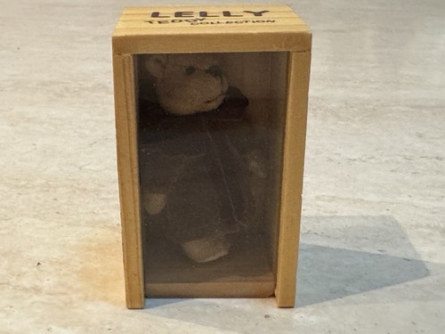 Famiglia orso lelly teddy - famiglia,