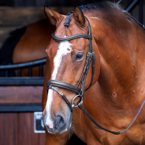Shires velociti rapida - shires,