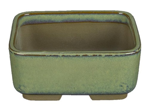 Vaso per bonsai - , giapponese