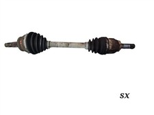 SEMIASSE ANTERIORE SINISTRO