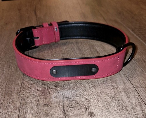 Collare per cani jacks - collare,