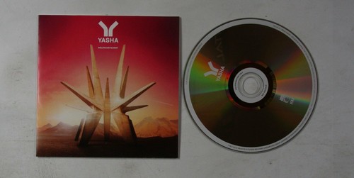 Yasha weltraumtourist adv - yasha,