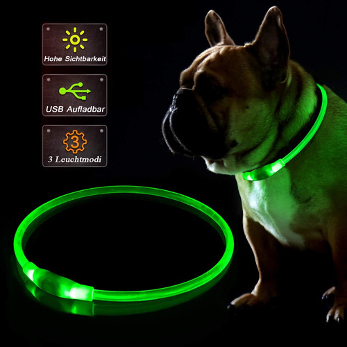 Collare per cane - collare,