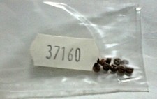 MANTUA MODEL ACCESSORI PER